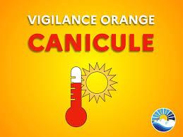 CANICULE
