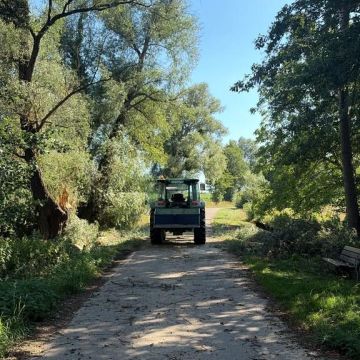 CHEMIN BARRE 